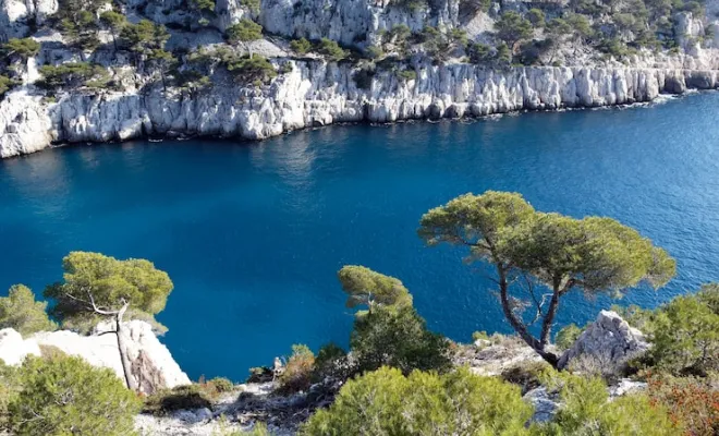 PIN CALANQUE CORSE